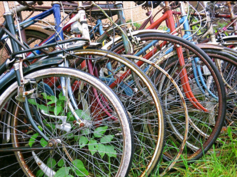 road bike servicing near me